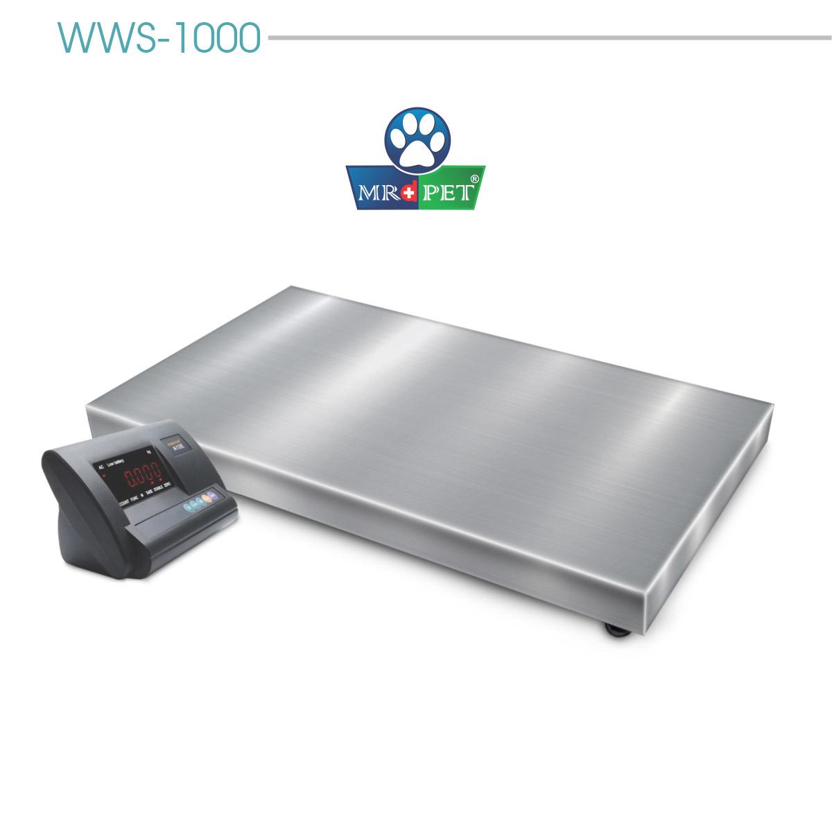AX-WEB-24
